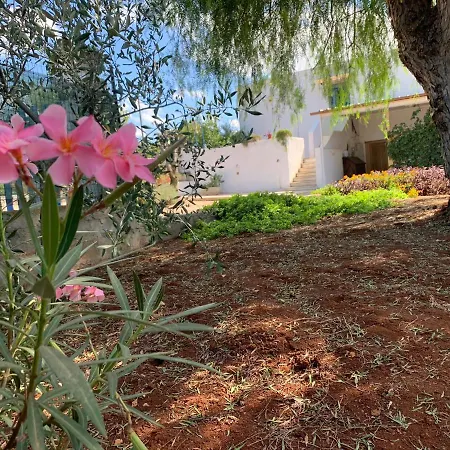 Apartment Al Pepe Nero - A 5 Minuti Dal Mare