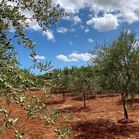 Al Pepe Nero - A 5 Minuti Dal Mare Apartment *